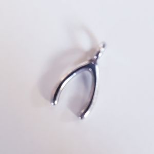 Tiny wishbone pendant